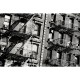 Affreschi & Affreschi | Carpe Diem | CD036